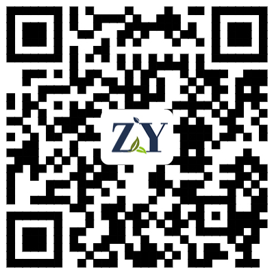 網(wǎng)站二維碼